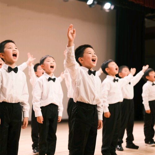 儿童白衬衫男童长袖纯棉春秋薄小学生校服衬衣表演出服中大童衬衣
