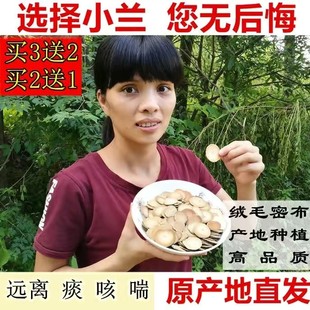 野生孕妇可用正宗化橘红果切片正毛化州橘红茶桔红片久咳化痰袋装