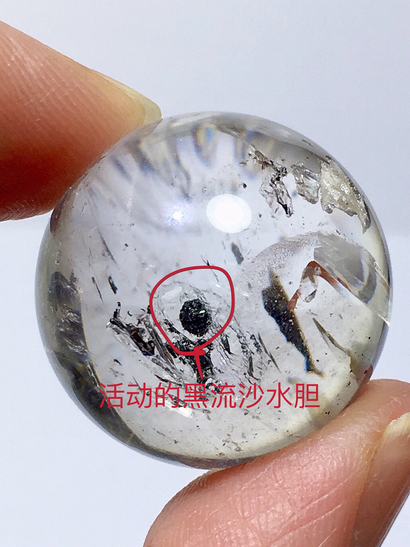 天然黑流沙水胆单珠小球