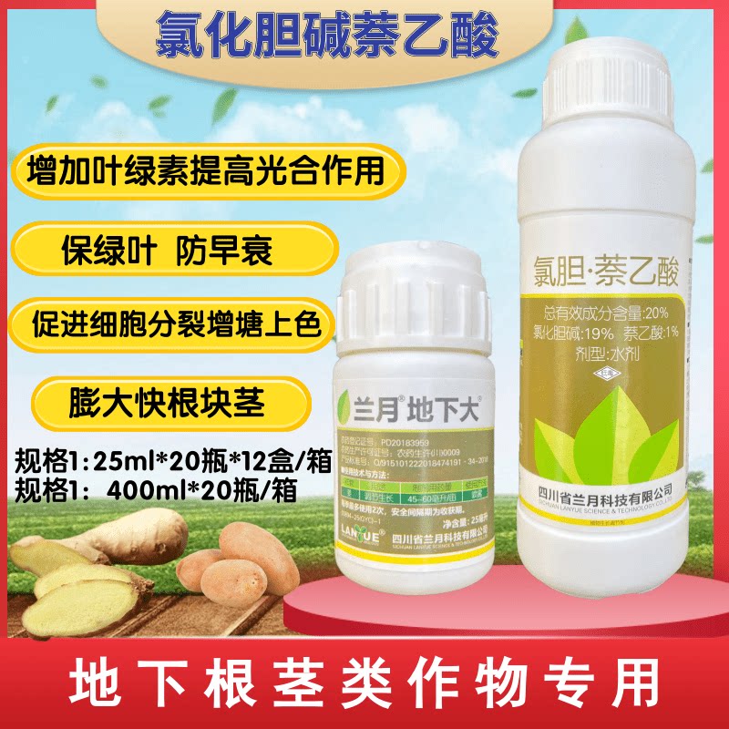 兰月地下大 氯化胆碱萘乙酸 萝卜红薯大姜土豆地下根茎块茎膨大素