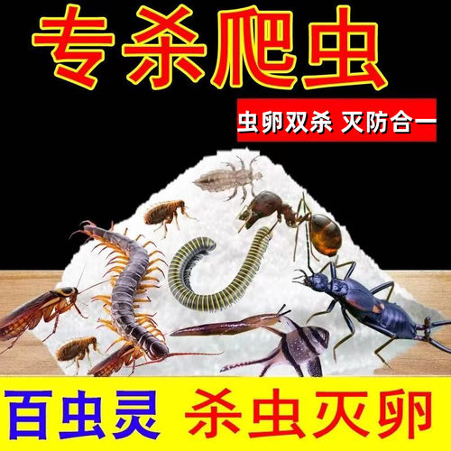 柏松灭绝粉灭跳蚤蟑螂虱子蚂蚁潮虫臭虫白蚁红火蚊药家用杀虫粉剂