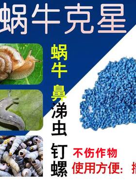 菜虫杀虫剂蔬菜地杀蜗牛驱蚂蚁神器打菜虫的药家用鼻涕虫土壤除虫