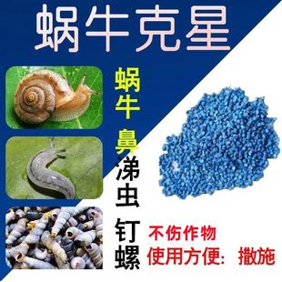 药家用无毒土壤防除虫 菜虫杀虫剂蔬菜地杀蜗牛驱蚂蚁神器打菜虫