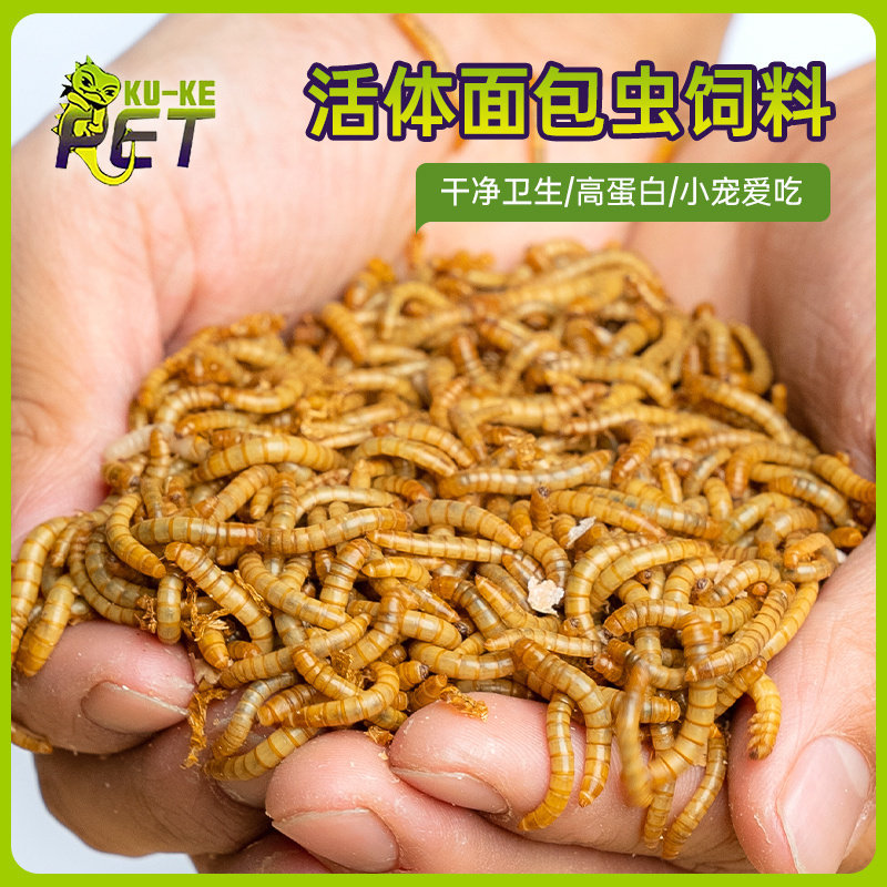 鲜活面包虫饲料养殖活虫鸟食大麦虫干守宫蜥蜴食物蜜袋鼯仓鼠粮食