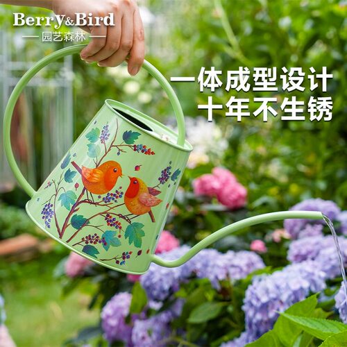 Berry&Bird长嘴浇水壶高颜值水壶