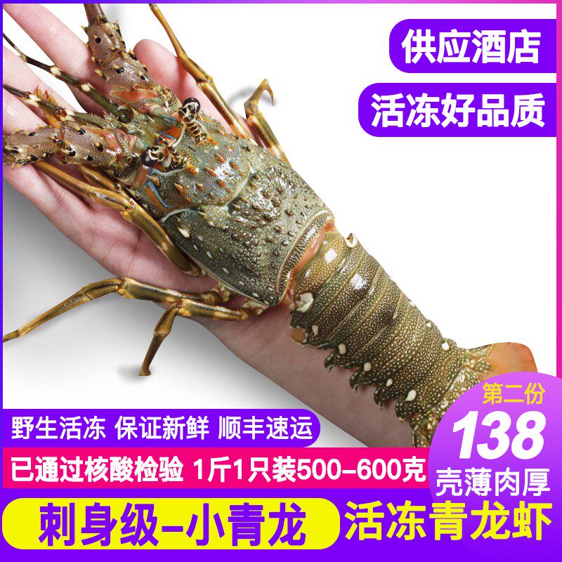 超大小青龙虾仔鲜活速冻海鲜水产1斤2大龙虾花龙虾波龙虾大青龙虾