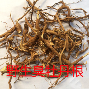 福建野生臭牡丹根矮桐子臭枫根臭八宝臭芙蓉臭梧桐根晒干无硫500g