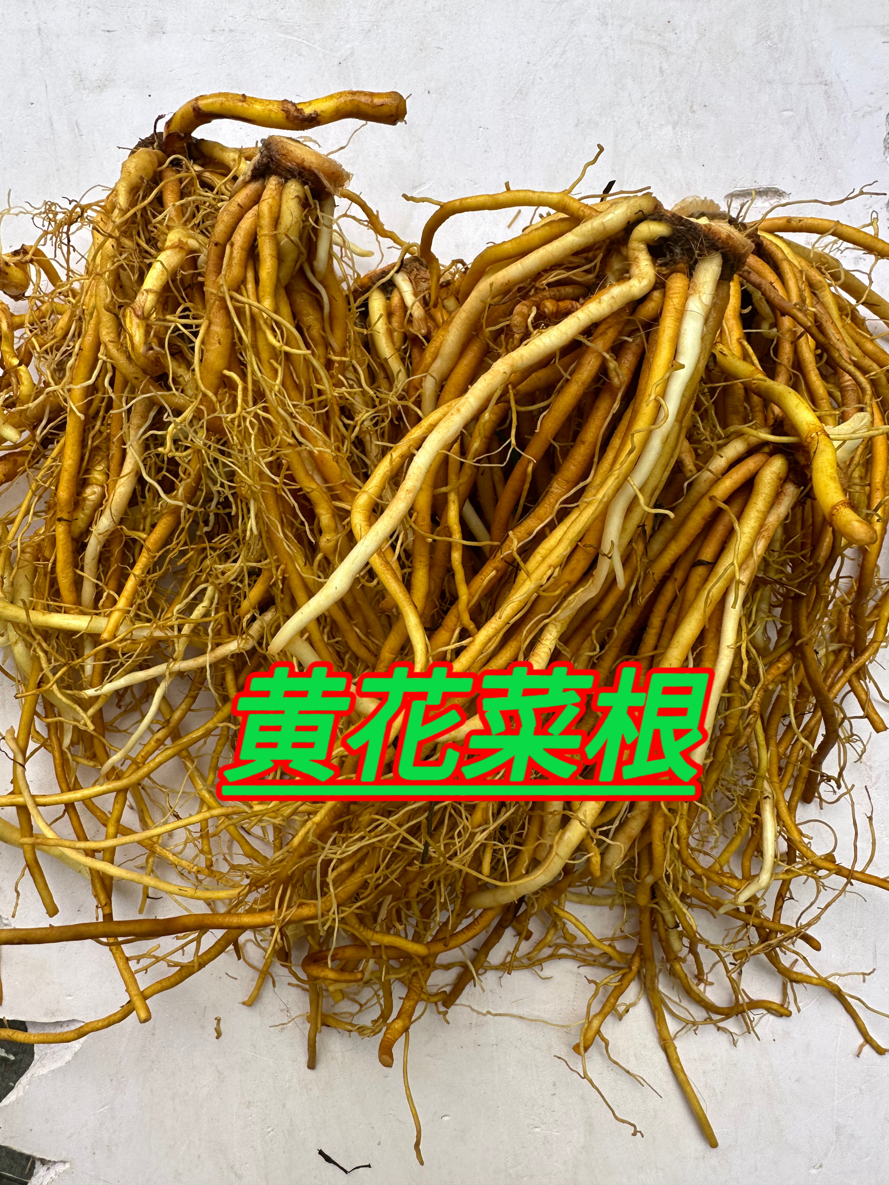 新鲜黄花菜根中药材500g包邮萱草根忘忧草根金针菜根黄花菜图片