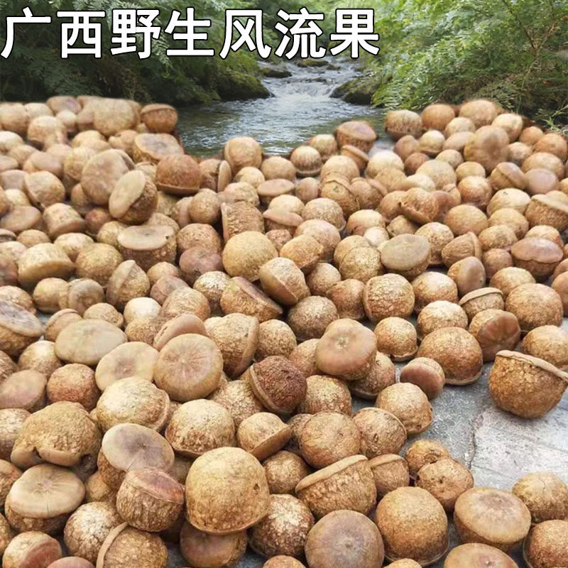 广西正宗野生风流果石头果干货牛大力男士泡酒料煲汤中药材无硫