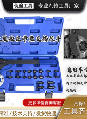 大众奥迪凸轮轴链轮机油泵齿轮皮带盘支挡扳手可调专用工具T10172