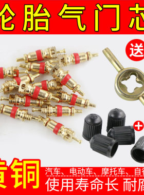 汽车摩托车电瓶电动车轮胎气门芯