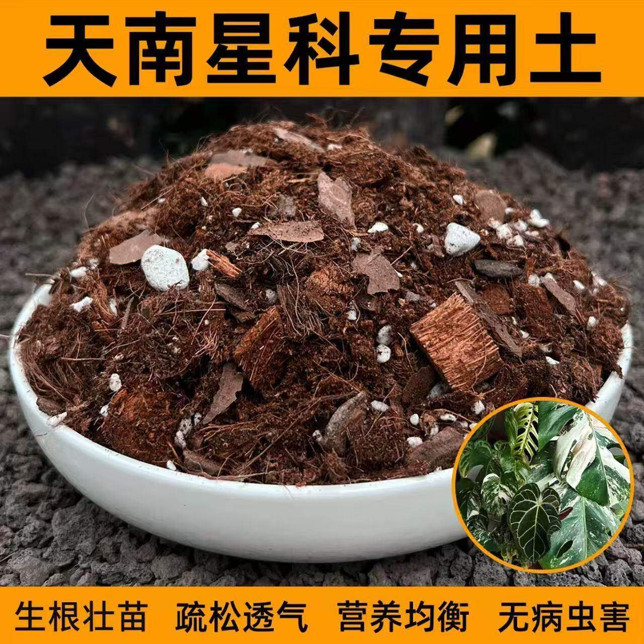 龟背竹专用种植天南星科营养土