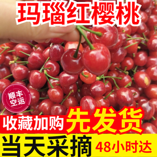 四川新鲜玛瑙红小恩桃天然国产小樱桃孕妇水果顺丰航空3斤 包邮