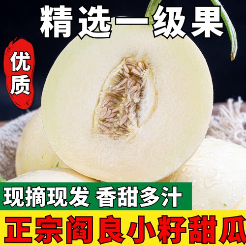 陕西正宗阎良甜瓜新鲜水果当季整箱软糯蜜瓜甜小籽白瓜蜜香瓜时令