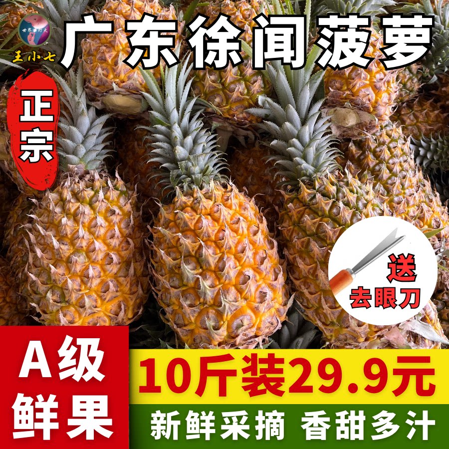广东徐闻菠萝香水整箱新鲜当季脆甜大菠萝送刀水果王小七礼盒带箱