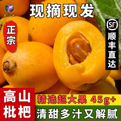 正宗四川大凉山枇杷甜鲜果3斤新鲜现摘大果琵琶水果香甜多汁整箱