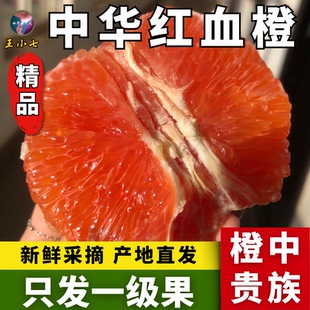 湖北秭归正宗中华红橙宜昌新鲜水果橙子红心血橙当季红肉橙王小七