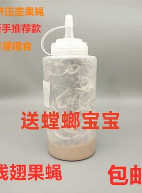 包邮果蝇杯活体螳螂 跳蛛饲料大小果蝇残翅无翅树蛙活体饲料