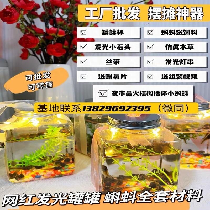 小蝌蚪活体网红发光罐罐蝌蚪摆摊神器青蛙牛蛙苗包活儿童观赏宠物