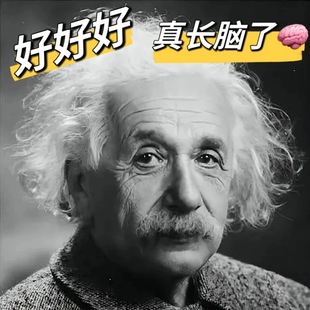 爱因斯坦的脑子加强至尊版。拍下后自动长到你大脑上。买过都说好