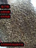 中药材桔子核橘子籽橘仁桔子无硫干货500克 桔子仁子橘核茶 包邮