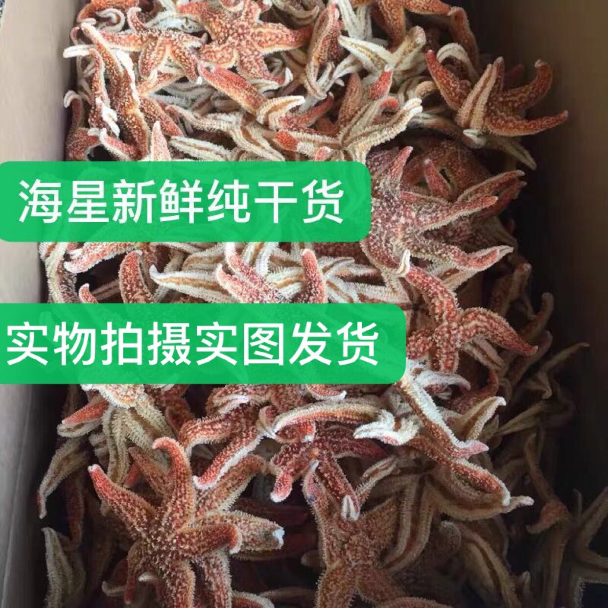海星五角海星海星干海盘车海星干货500g包邮 滋补煲汤泡酒干海星
