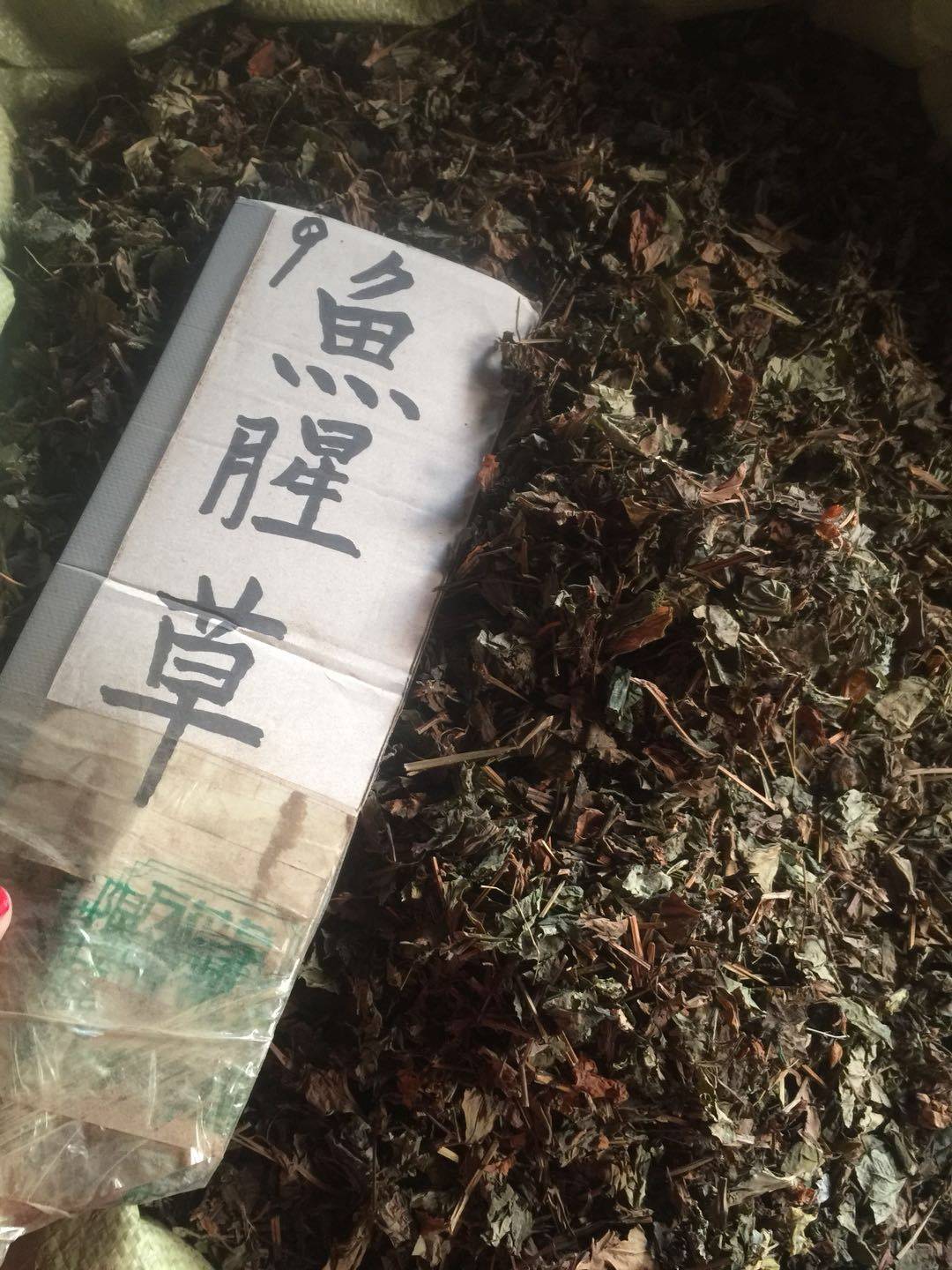 野生鱼腥草新鲜干货草折耳根鱼腥草根500克克磨鱼腥草粉中草药