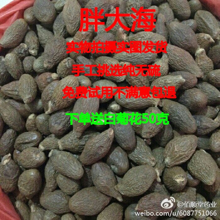 胖大海散装润喉茶手工挑选袋装250g克包邮胖大海茶泡水花茶大海润