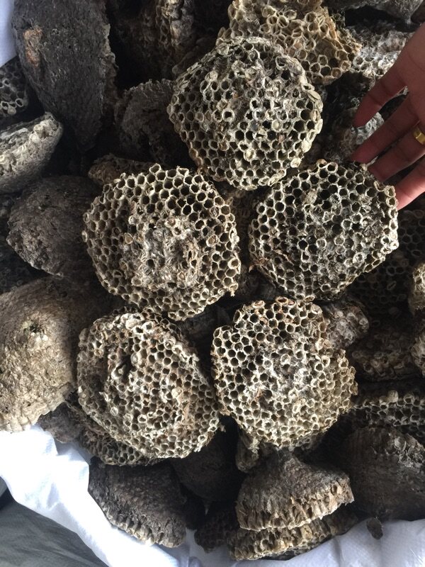 中药材野生蚂蜂窝蜂房胡峰巢黄蜂蜂王窝完整个不碎500克包邮