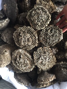 中药材野生蚂蜂窝蜂房胡峰巢黄蜂蜂王窝完整个不碎500克包邮