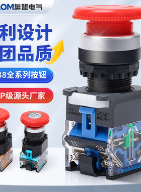 急停按钮开关LA38-11ZS电源自锁开关蘑菇头紧急STOP一开一闭22mm
