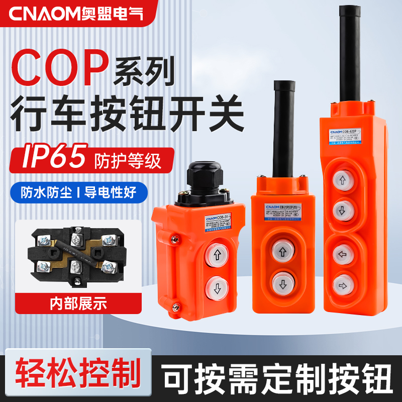 COP-21直控开关250V电动葫芦