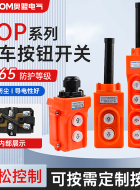 COP-21直控开关250V电压行车开关上下按钮直接控制电动葫芦22  23