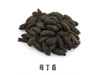 中药材母丁香 丁香丁子香支解香 500g包邮
