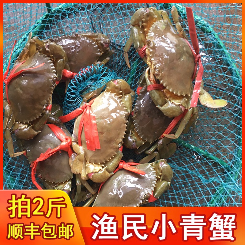 渔民小青蟹(2斤装约6-15只内)小海蟹螃蟹鲜活海鲜水产包邮顺丰