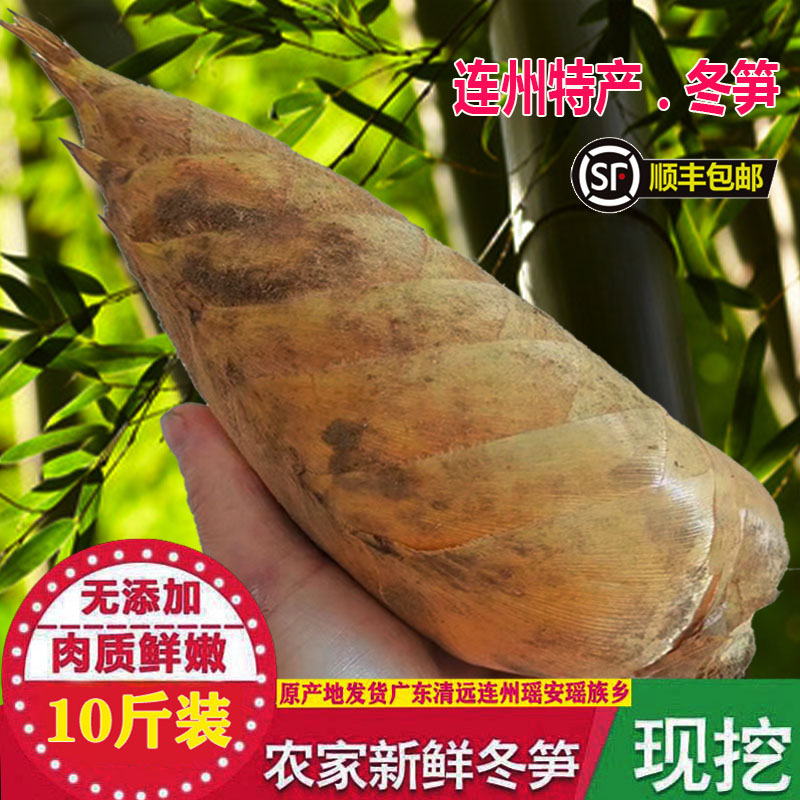 新鲜冬笋野生现挖大竹笋10斤连州农家竹笋鲜嫩笋带壳冬笋5斤包邮