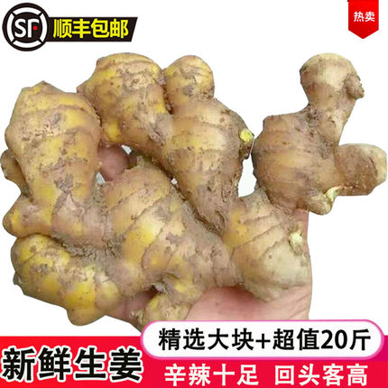 广东有机小黄姜农家土生姜新鲜现挖老姜5/10装斤嫩子姜月子姜大块