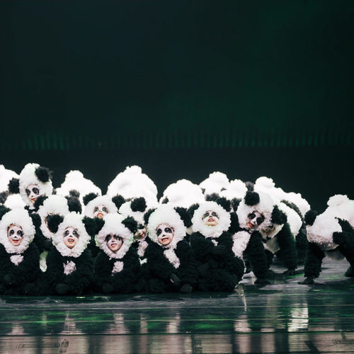 儿童熊猫演出服男女童卡通舞台服