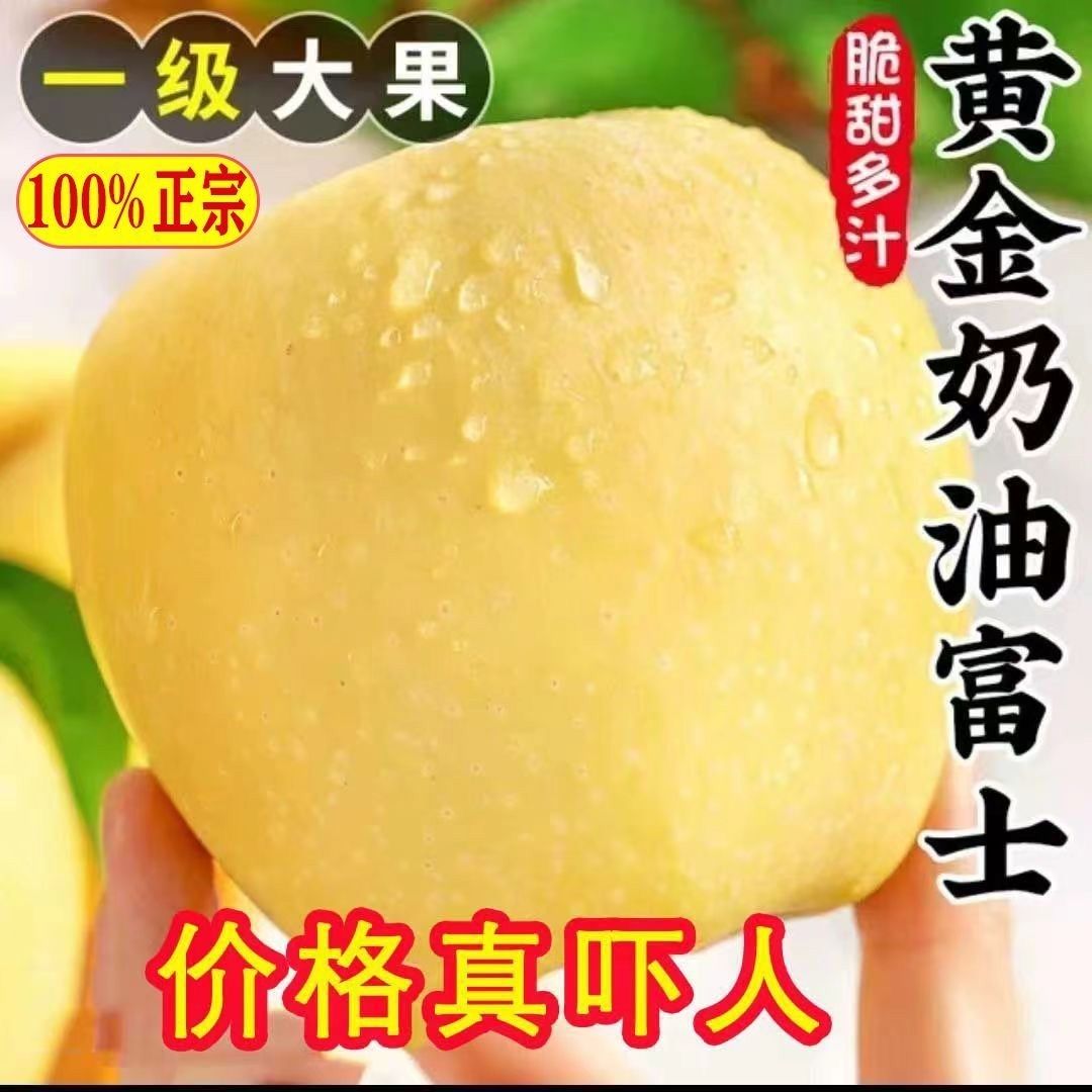 2025年头茬奶油富士苹果烟台栖霞苹果新鲜水果当季应季水果红富士