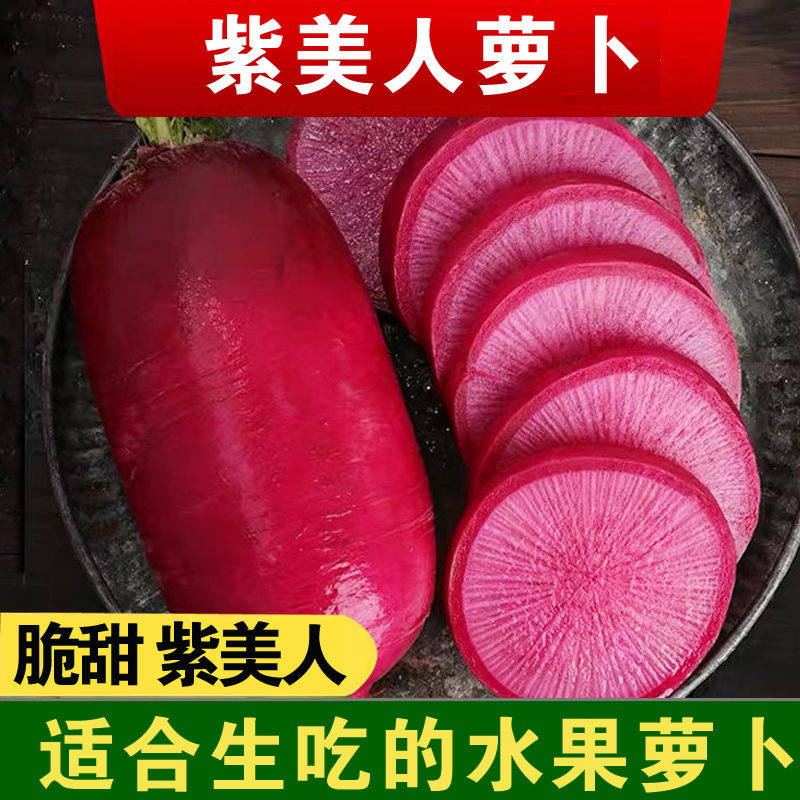天津正宗紫美人凤梨萝卜红皮红肉胭脂萝卜脆甜多汁现拔产地直销,水产肉类/新鲜蔬果/熟食,萝卜/胡萝卜,淘宝优惠券,粉丝福利购,淘宝优惠卷