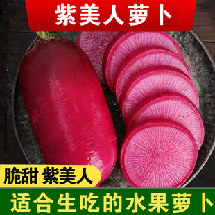 天津正宗紫美人凤梨萝卜红皮红肉胭脂萝卜脆甜多汁现拔产地直销