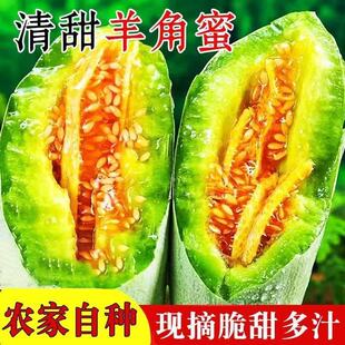 山东头茬羊角蜜甜瓜现摘新鲜脆甜羊角蜜应当季博洋九号蜜瓜五斤装