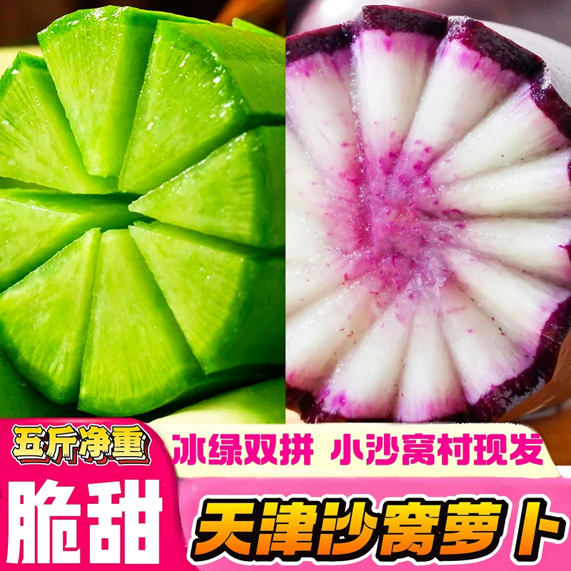 天津沙窝冰淇淋水果萝卜甜脆现挖