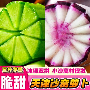 天津沙窝萝卜冰淇淋水果萝卜青红双拼混装脆甜即食新鲜农产品礼盒