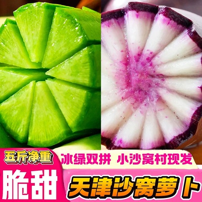 天津沙窝冰淇淋水果萝卜甜脆现挖