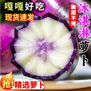 正宗天津沙窝水果冰淇淋萝卜凤梨冰糖心萝卜新鲜脆甜生吃现拔礼盒