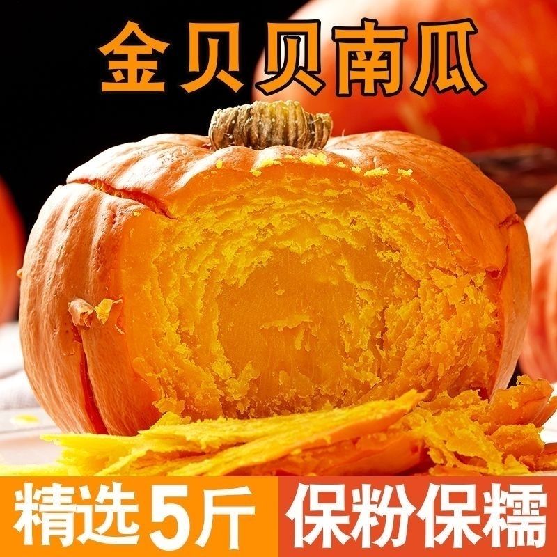 正宗山东红皮板栗味南瓜黄圆南瓜金瓜金丝新鲜贝贝小南瓜当季食用