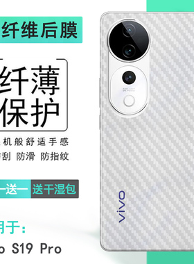 适用vivo S19 Pro手机条纹后膜S19 Pro 5G磨砂背面膜V2362A全新抗氧化后盖软膜软性膜顺滑半高清孔位精准导气