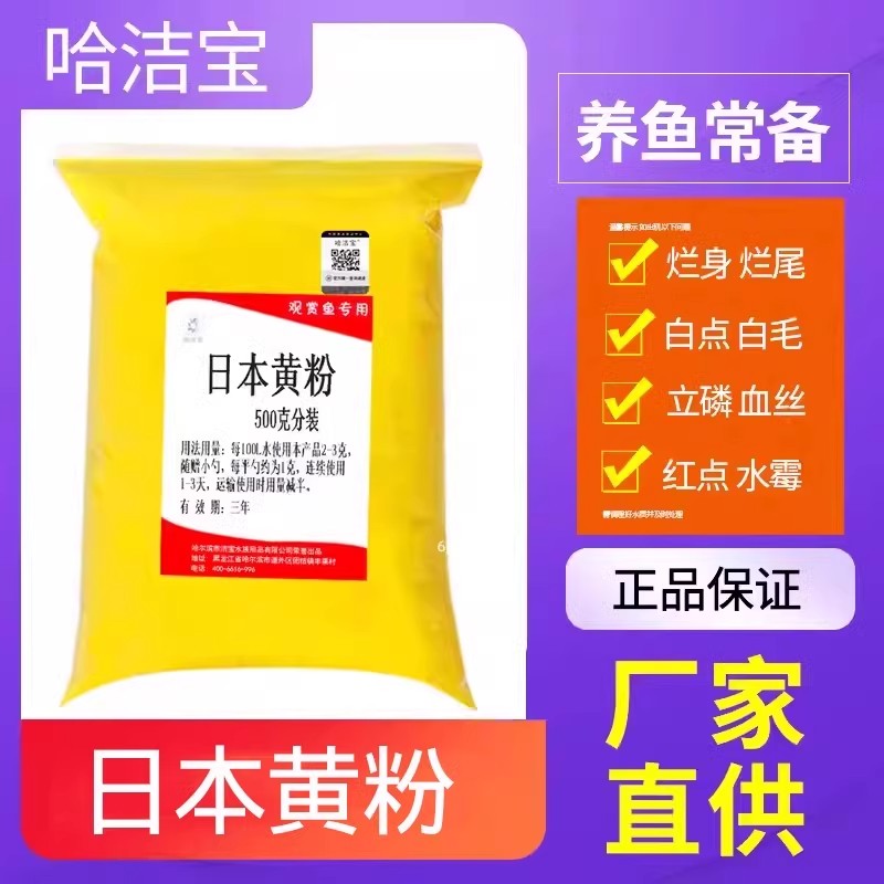 黄粉鱼池消毒烂身烂尾锦鲤哈洁宝