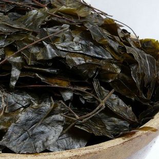 贵州遵义苦丁茶2025年大叶苦丁茶农家老叶毛冬青茶泡茶清爽苦丁茶